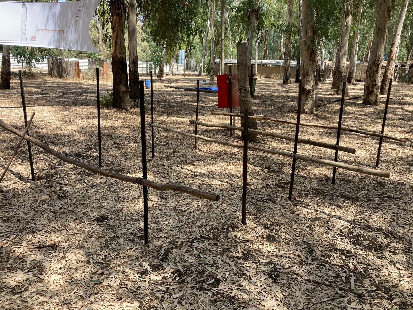 WhatsApp Image 2020-08-14 at 1.38.49 PM.jpeg.jpeg